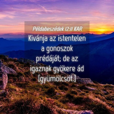 Picture 04 - Példabeszédek 12:11 KAR - Kivánja az istentelen a gonoszok prédáját; de - Bible Verse Picture