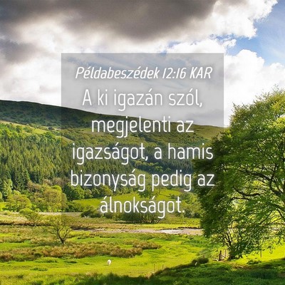 Picture 04 - Példabeszédek 12:16 KAR - A ki igazán szól, megjelenti az igazságot, a - Bible Verse Picture
