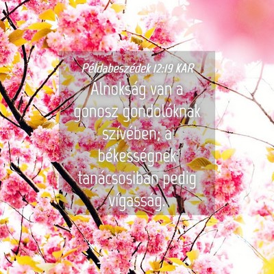 Picture 04 - Példabeszédek 12:19 KAR - Álnokság van a gonosz gondolóknak szívében; - Bible Verse Picture