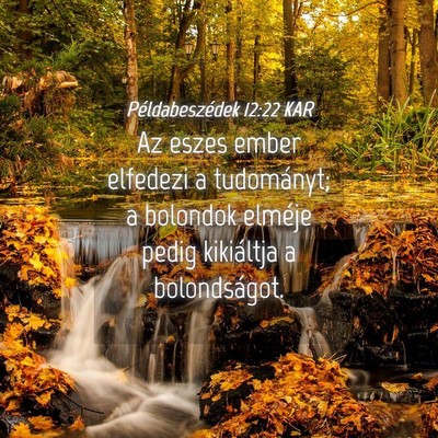 Picture 04 - Példabeszédek 12:22 KAR - Az eszes ember elfedezi a tudományt; a bolondok - Bible Verse Picture