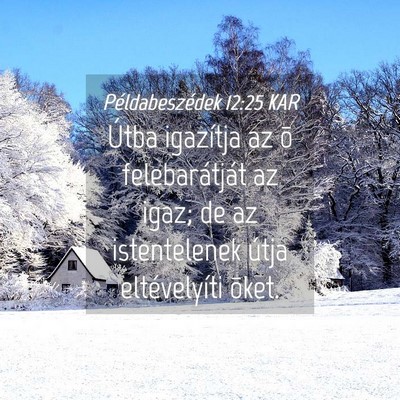Picture 04 - Példabeszédek 12:25 KAR - Útba igazítja az õ felebarátját az igaz; de - Bible Verse Picture