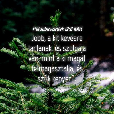 Picture 04 - Példabeszédek 12:8 KAR - Jobb, a kit kevésre tartanak, és szolgája van, - Bible Verse Picture