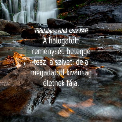 Picture 04 - Példabeszédek 13:12 KAR - A halogatott reménység beteggé teszi a - Bible Verse Picture