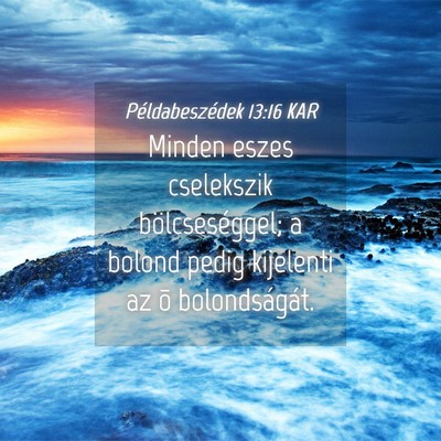 Picture 04 - Példabeszédek 13:16 KAR - Minden eszes cselekszik bölcseséggel; a bolond - Bible Verse Picture