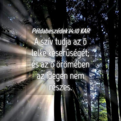 Picture 04 - Példabeszédek 14:10 KAR - A szív tudja az õ lelke keserûségét; és az - Bible Verse Picture