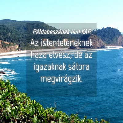 Picture 04 - Példabeszédek 14:11 KAR - Az istenteleneknek háza elvész; de az igazaknak - Bible Verse Picture