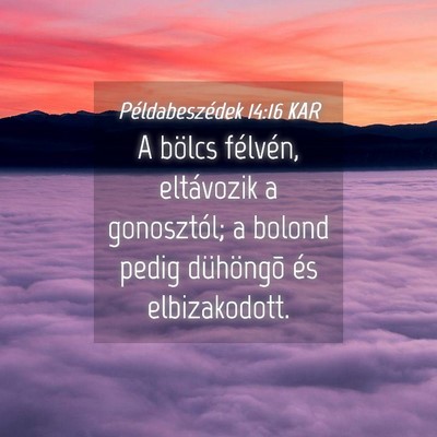 Picture 04 - Példabeszédek 14:16 KAR - A bölcs félvén, eltávozik a gonosztól; a - Bible Verse Picture