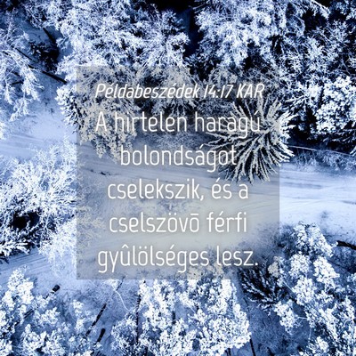 Picture 04 - Példabeszédek 14:17 KAR - A hirtelen haragú bolondságot cselekszik, és a - Bible Verse Picture
