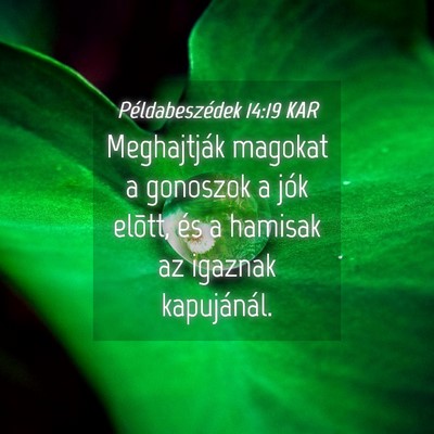 Picture 04 - Példabeszédek 14:19 KAR - Meghajtják magokat a gonoszok a jók elõtt, és - Bible Verse Picture
