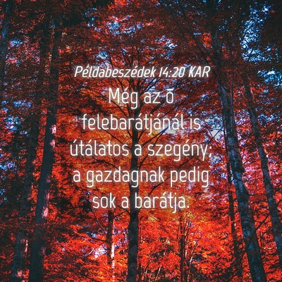 Picture 04 - Példabeszédek 14:20 KAR - Még az õ felebarátjánál is útálatos a - Bible Verse Picture