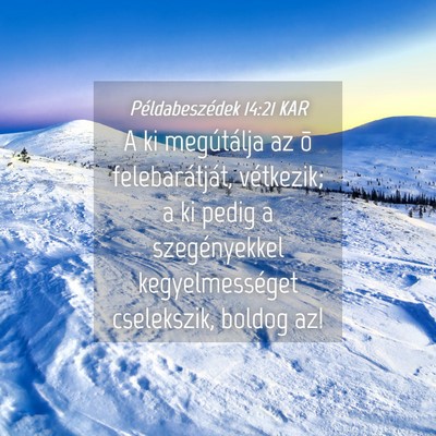 Picture 04 - Példabeszédek 14:21 KAR - A ki megútálja az õ felebarátját, vétkezik; - Bible Verse Picture
