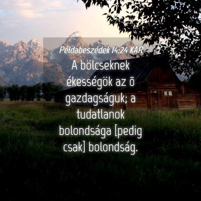 Picture 04 - Példabeszédek 14:24 KAR - A bölcseknek ékességök az õ gazdagságuk; a - Bible Verse Picture
