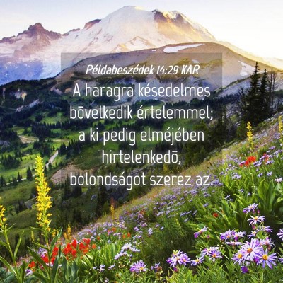 Picture 04 - Példabeszédek 14:29 KAR - A haragra késedelmes bõvelkedik értelemmel; a - Bible Verse Picture