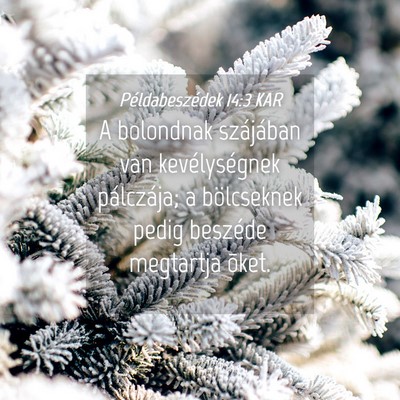 Picture 04 - Példabeszédek 14:3 KAR - A bolondnak szájában van kevélységnek - Bible Verse Picture