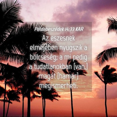 Picture 04 - Példabeszédek 14:33 KAR - Az eszesnek elméjében nyugszik a bölcseség; a - Bible Verse Picture