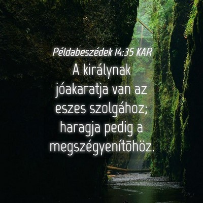 Picture 04 - Példabeszédek 14:35 KAR - A királynak jóakaratja van az eszes szolgához; - Bible Verse Picture