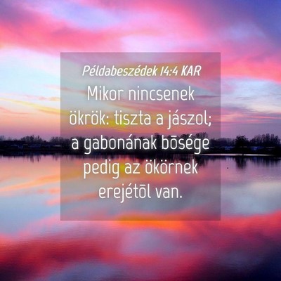 Picture 04 - Példabeszédek 14:4 KAR - Mikor nincsenek ökrök: tiszta a jászol; a - Bible Verse Picture