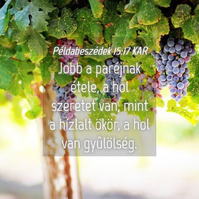 Picture 04 - Példabeszédek 15:17 KAR - Jobb a paréjnak étele, a hol szeretet van, mint - Bible Verse Picture