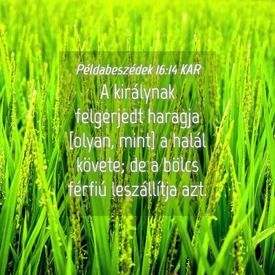 Picture 04 - Példabeszédek 16:14 KAR - A királynak felgerjedt haragja [olyan, mint] a - Bible Verse Picture