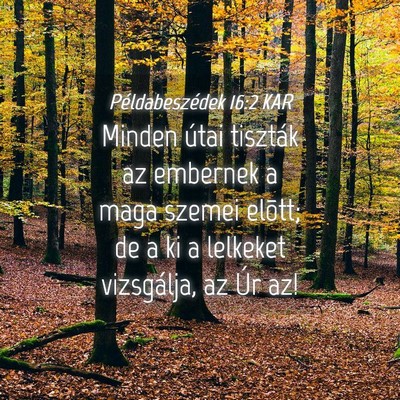 Picture 04 - Példabeszédek 16:2 KAR - Minden útai tiszták az embernek a maga szemei - Bible Verse Picture