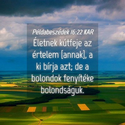 Picture 04 - Példabeszédek 16:22 KAR - Életnek kútfeje az értelem [annak], a ki - Bible Verse Picture