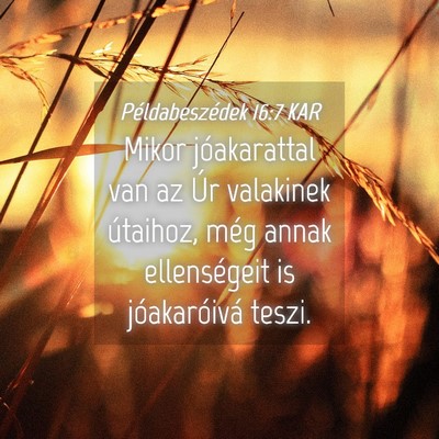 Picture 04 - Példabeszédek 16:7 KAR - Mikor jóakarattal van az Úr valakinek útaihoz, - Bible Verse Picture