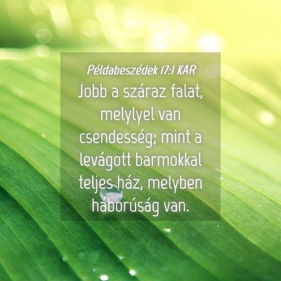 Picture 04 - Példabeszédek 17:1 KAR - Jobb a száraz falat, melylyel van csendesség; - Bible Verse Picture