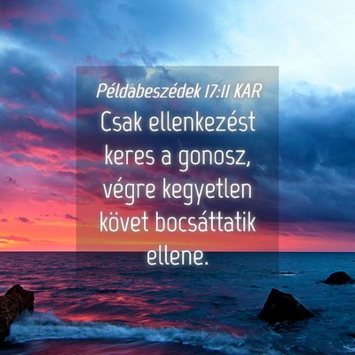 Picture 04 - Példabeszédek 17:11 KAR - Csak ellenkezést keres a gonosz, végre - Bible Verse Picture
