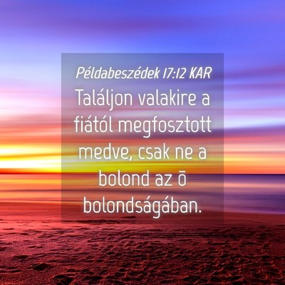 Picture 04 - Példabeszédek 17:12 KAR - Találjon valakire a fiától megfosztott medve, - Bible Verse Picture