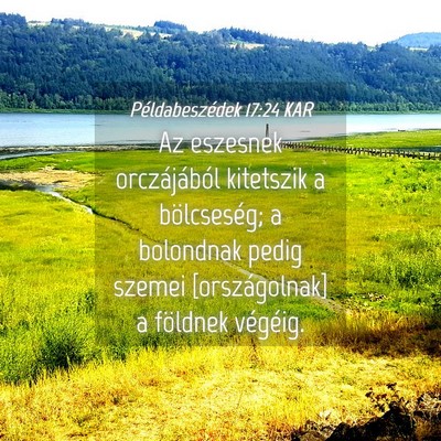 Picture 04 - Példabeszédek 17:24 KAR - Az eszesnek orczájából kitetszik a - Bible Verse Picture