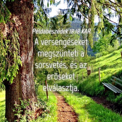 Picture 04 - Példabeszédek 18:18 KAR - A versengéseket megszünteti a sorsvetés, és - Bible Verse Picture