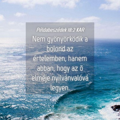 Picture 04 - Példabeszédek 18:2 KAR - Nem gyönyörködik a bolond az értelemben, - Bible Verse Picture