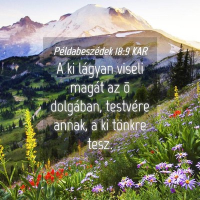 Picture 04 - Példabeszédek 18:9 KAR - A ki lágyan viseli magát az õ dolgában, - Bible Verse Picture
