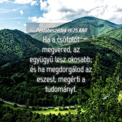 Picture 04 - Példabeszédek 19:25 KAR - Ha a csúfolót megvered, az együgyû lesz - Bible Verse Picture