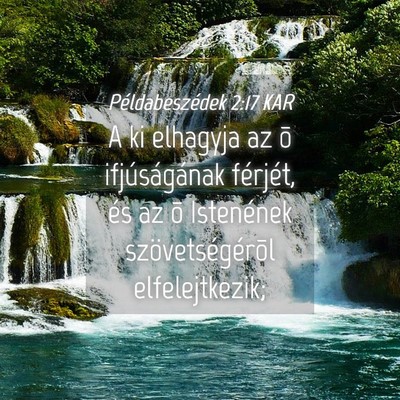 Picture 04 - Példabeszédek 2:17 KAR - A ki elhagyja az õ ifjúságának férjét, és - Bible Verse Picture