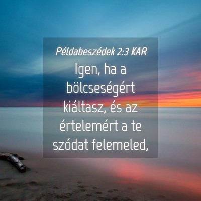 Picture 04 - Példabeszédek 2:3 KAR - Igen, ha a bölcseségért kiáltasz, és az - Bible Verse Picture