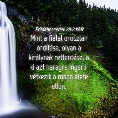 Picture 04 - Példabeszédek 20:2 KAR - Mint a fiatal oroszlán ordítása, olyan a - Bible Verse Picture