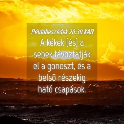 Picture 04 - Példabeszédek 20:30 KAR - A kékek [és] a sebek távoztatják el a - Bible Verse Picture