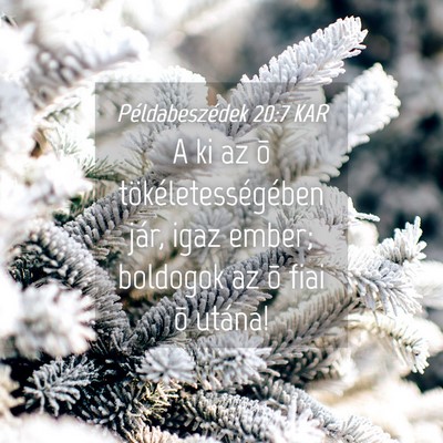 Picture 04 - Példabeszédek 20:7 KAR - A ki az õ tökéletességében jár, igaz ember; - Bible Verse Picture