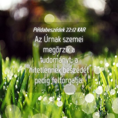 Picture 04 - Példabeszédek 22:12 KAR - Az Úrnak szemei megõrzik a tudományt; a - Bible Verse Picture