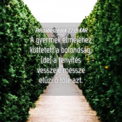 Picture 04 - Példabeszédek 22:15 KAR - A gyermek elméjéhez köttetett a bolondság; - Bible Verse Picture