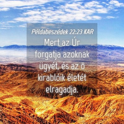 Picture 04 - Példabeszédek 22:23 KAR - Mert az Úr forgatja azoknak ügyét, és az õ - Bible Verse Picture