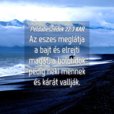 Picture 04 - Példabeszédek 22:3 KAR - Az eszes meglátja a bajt és elrejti magát; a - Bible Verse Picture