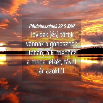 Picture 04 - Példabeszédek 22:5 KAR - Tövisek [és] tõrök vannak a gonosznak - Bible Verse Picture