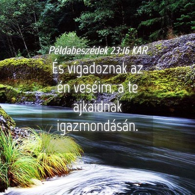 Picture 04 - Példabeszédek 23:16 KAR - És vígadoznak az én veséim, a te ajkaidnak - Bible Verse Picture
