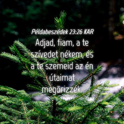 Picture 04 - Példabeszédek 23:26 KAR - Adjad, fiam, a te szívedet nékem, és a te - Bible Verse Picture
