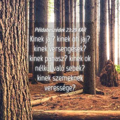 Picture 04 - Példabeszédek 23:29 KAR - Kinek jaj? kinek oh jaj? kinek versengések? - Bible Verse Picture