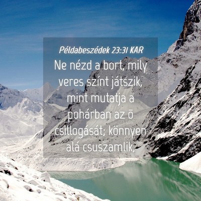 Picture 04 - Példabeszédek 23:31 KAR - Ne nézd a bort, mily veres színt játszik, mint - Bible Verse Picture