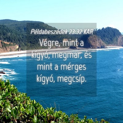 Picture 04 - Példabeszédek 23:32 KAR - Végre, mint a kígyó, megmar, és mint a - Bible Verse Picture
