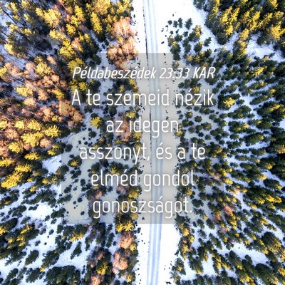 Picture 04 - Példabeszédek 23:33 KAR - A te szemeid nézik az idegen asszonyt, és a te - Bible Verse Picture